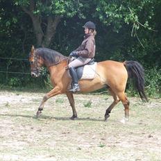 Anden særlig race Fighter