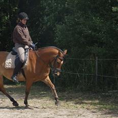 Anden særlig race Fighter