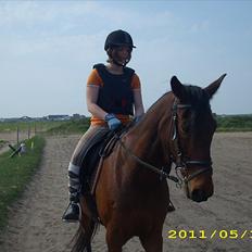 Traver Flying Corona (Fly)