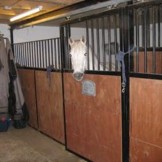 Anden særlig race Frisser (Might'N Magic)