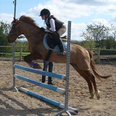 Gotlandsruss Fantom M 