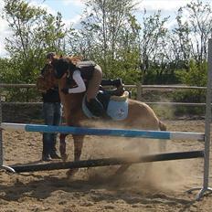 Gotlandsruss Fantom M 