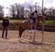 Gotlandsruss Fantom M 