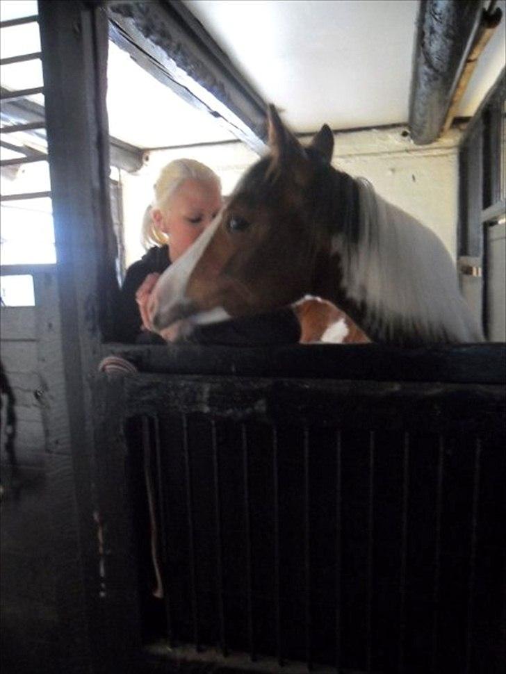 Pinto Malibu Passion - Hun gav allerede kys og nussede en hel del dagen efter hendes ankomst :) billede 6