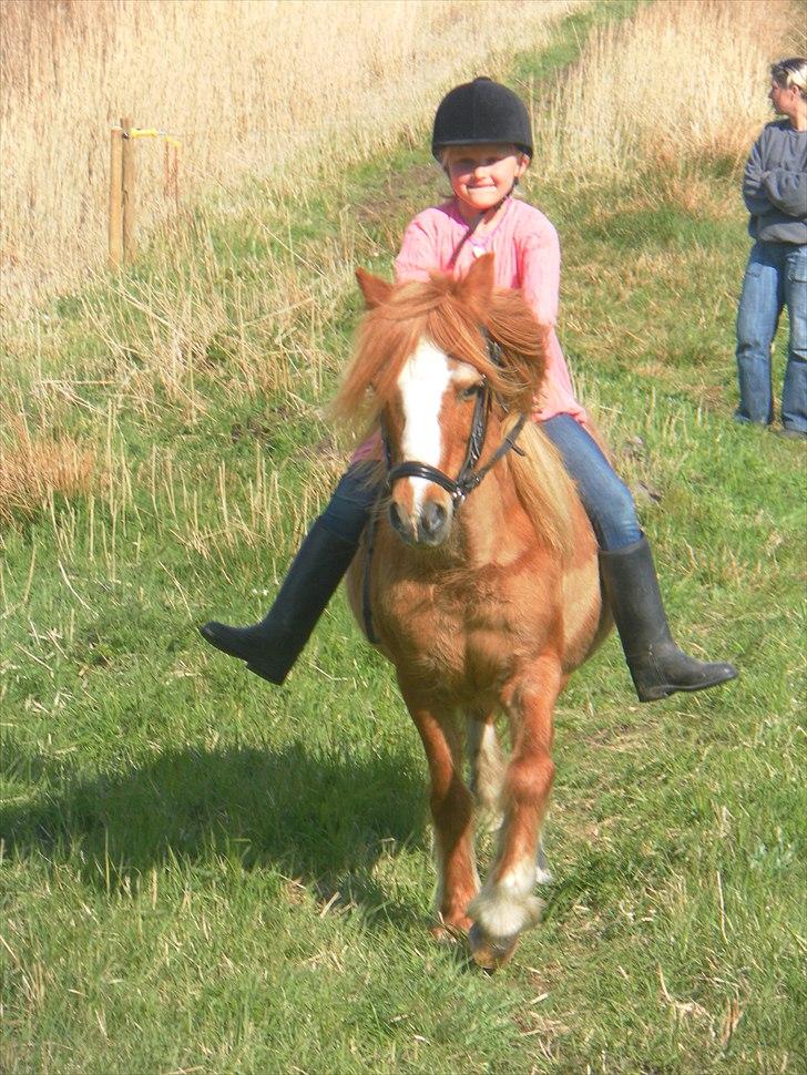 Anden særlig race Columbine (Givet væk) billede 2