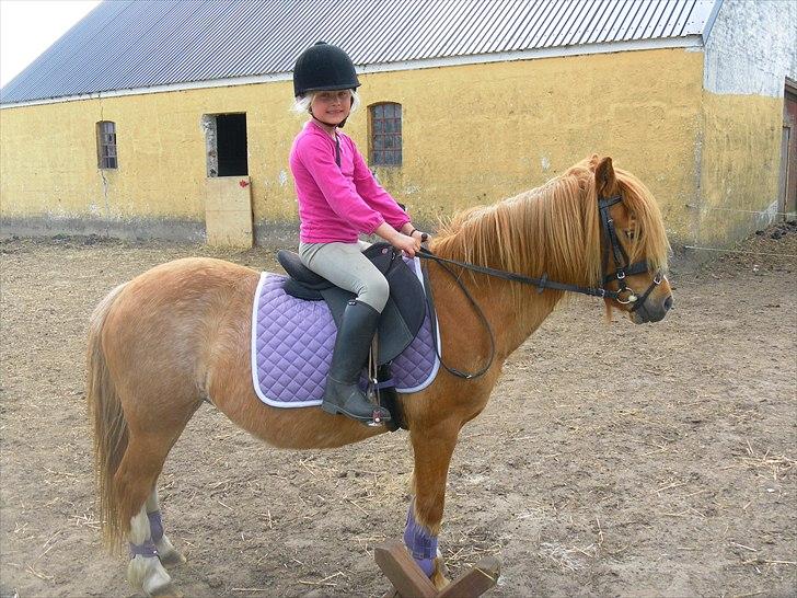 Anden særlig race Columbine (Givet væk) billede 7