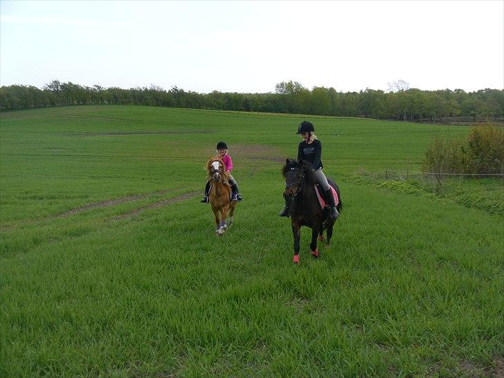 Anden særlig race Columbine (Givet væk) - På tur med Emma og Sille billede 8