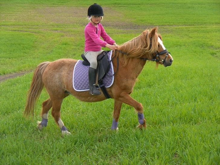 Anden særlig race Columbine (Givet væk) billede 9