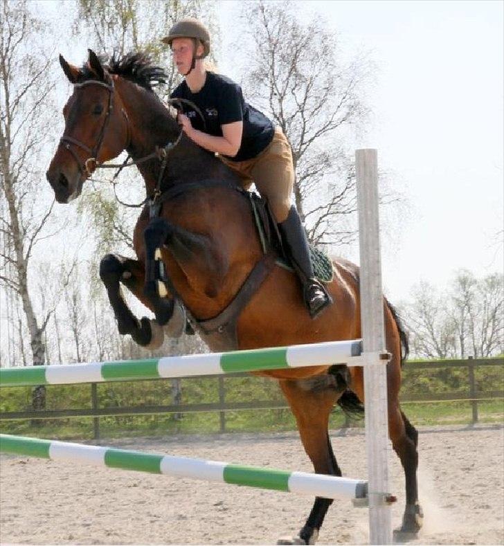 Holstener Miserable - Træning 21/4-11 Foto: Kim Bahnsen billede 8