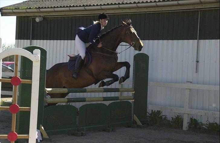 Holstener Miserable - Amagermesterskab LB** 8/5-11 Foto: Stina Carlsen billede 15