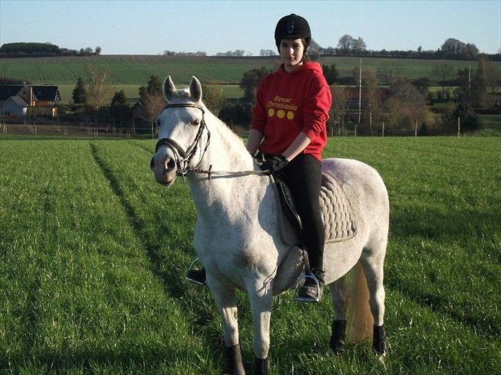 New Forest Shipper - Shipper og jeg. billede 11