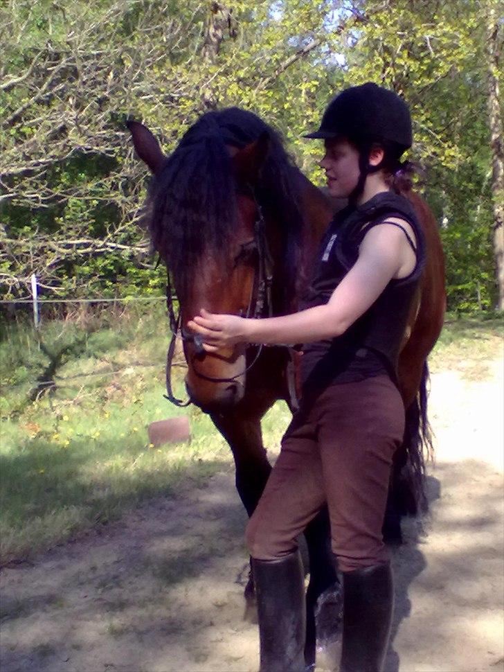 Belgier stenholmgårds Jeppe  charmetrolden <3 - nyt billede af mig og jeppe <3   billede 11