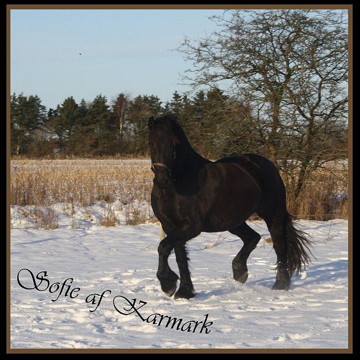 Frieser Sofie af Karmark billede 3