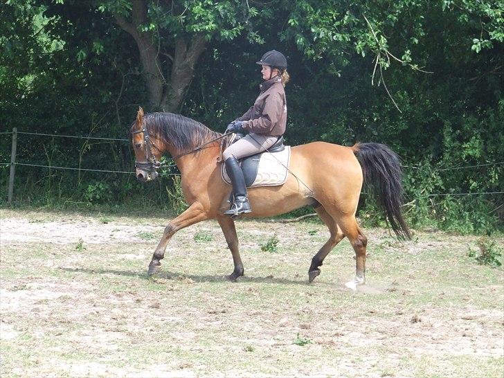 Anden særlig race Fighter billede 2