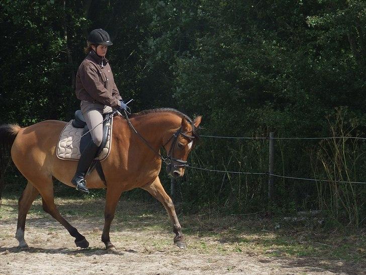 Anden særlig race Fighter billede 3