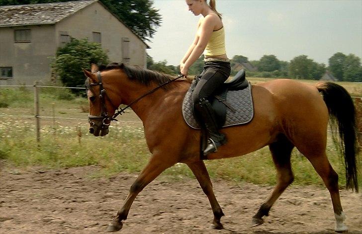 Anden særlig race Fighter billede 12