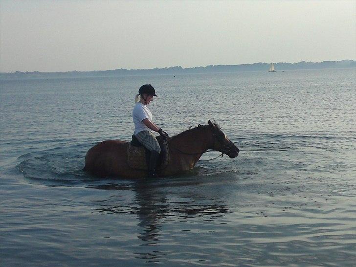 Anden særlig race Fighter billede 17