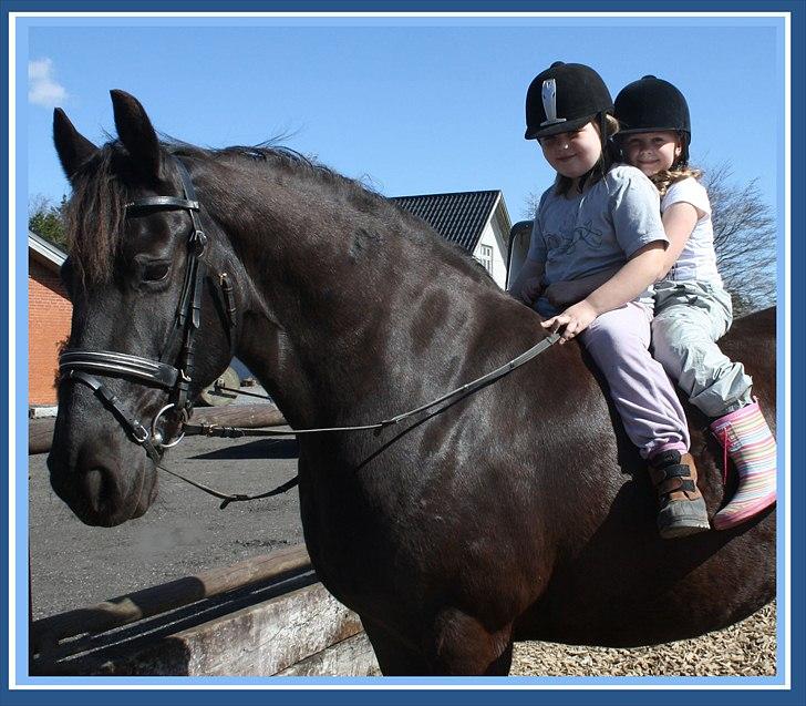 Frieser Sofie af Karmark billede 7