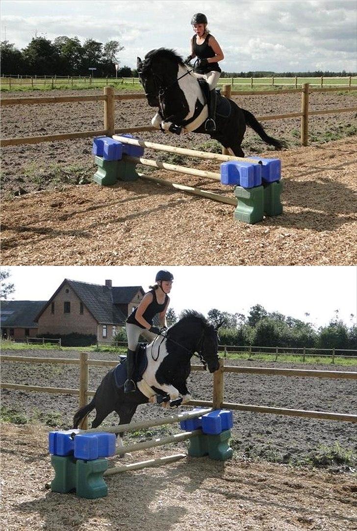 Anden særlig race Spike - ikke mig der rider. billede 8