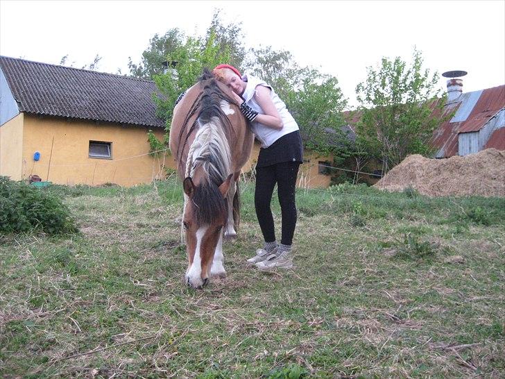 Anden særlig race Laika billede 5