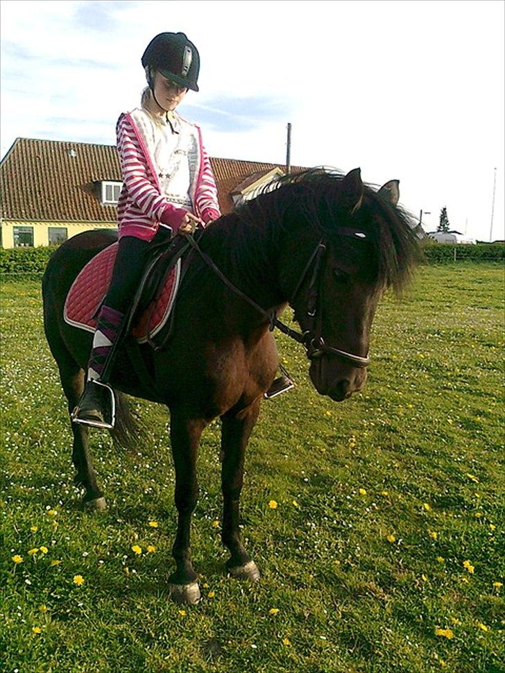 Anden særlig race Kiabella - SE! hun går ned med hoved første gang.Vi er godt på vej smukke billede 7