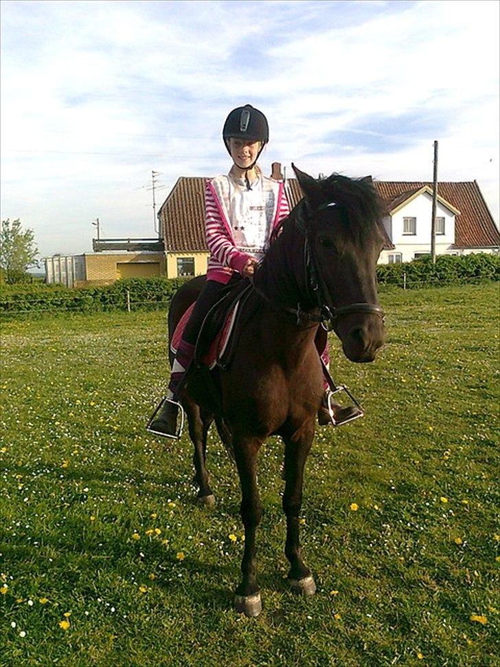 Anden særlig race Kiabella - SE hvor vi hygger billede 9