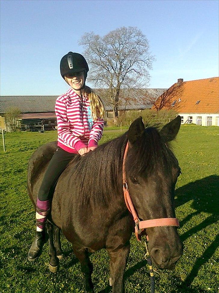 Anden særlig race Kiabella - Trækketur i grime på marken første gang  billede 10