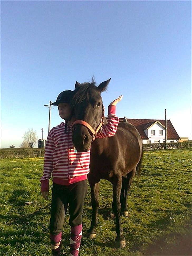 Anden særlig race Kiabella - Du er så sød Kiabella I LOVE YOU SKATTER billede 11