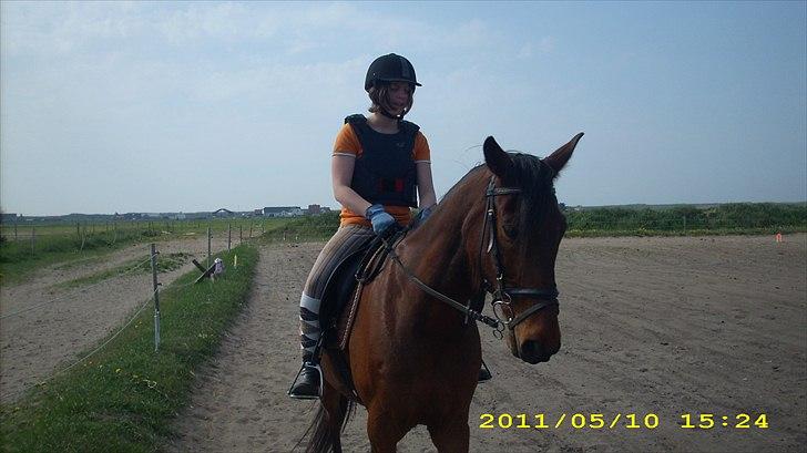 Traver Flying Corona (Fly) billede 3