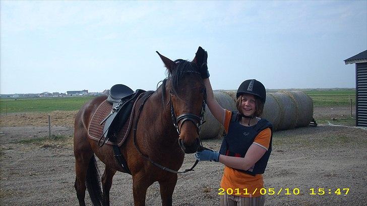 Traver Flying Corona (Fly) billede 4