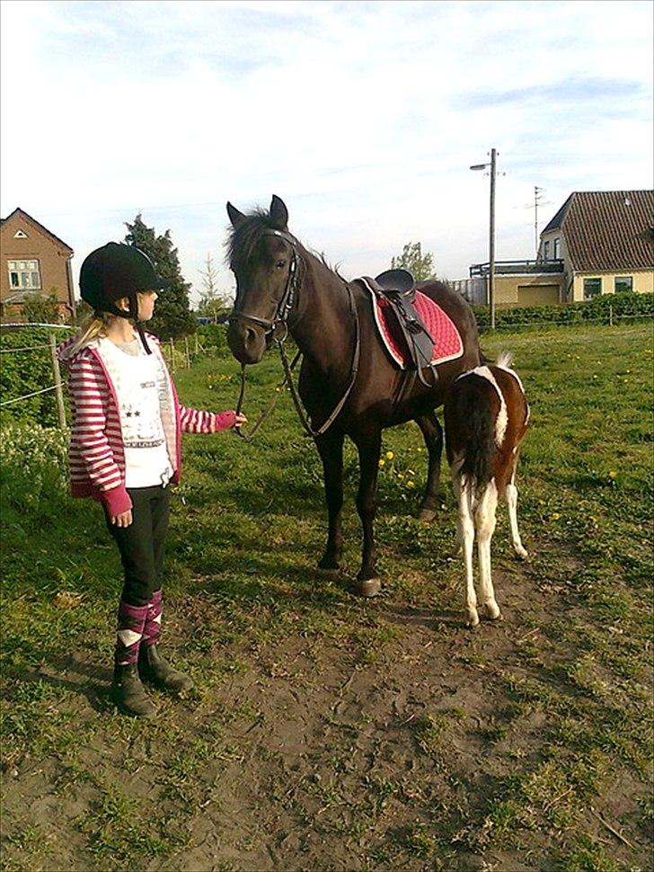 Anden særlig race Kiabella - DRIKKE pause billede 13