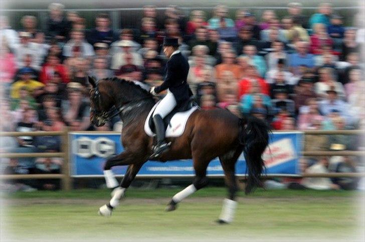 Oldenborg Urstar Af Hvarre - Roskilde igen billede 14