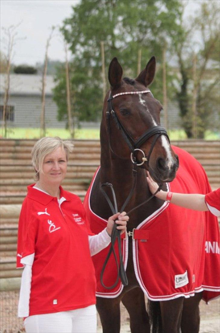 Oldenborg Urstar Af Hvarre - Min mor og Urstar i frankrig 2011 billede 16