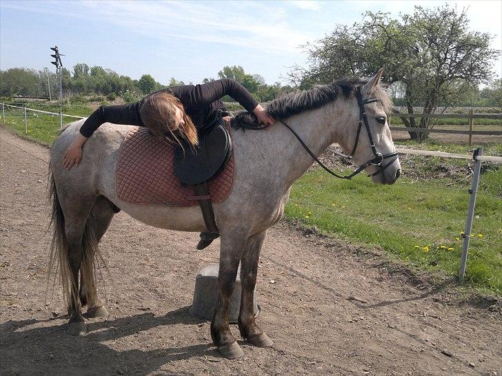 Anden særlig race Hugsy - 10. maj 2011 - katja leger lidt med hugsen og beslutter sig så for at hoppe op. Drengen er iskold :P billede 10