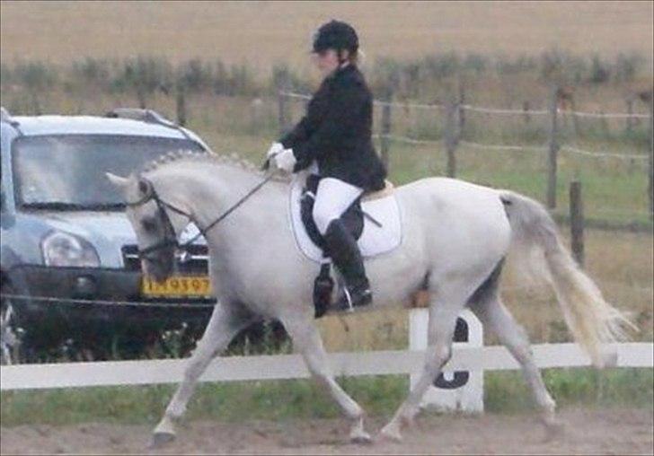 Sportsaraber (A) Rözsi Al Ziyadah solgt billede 9