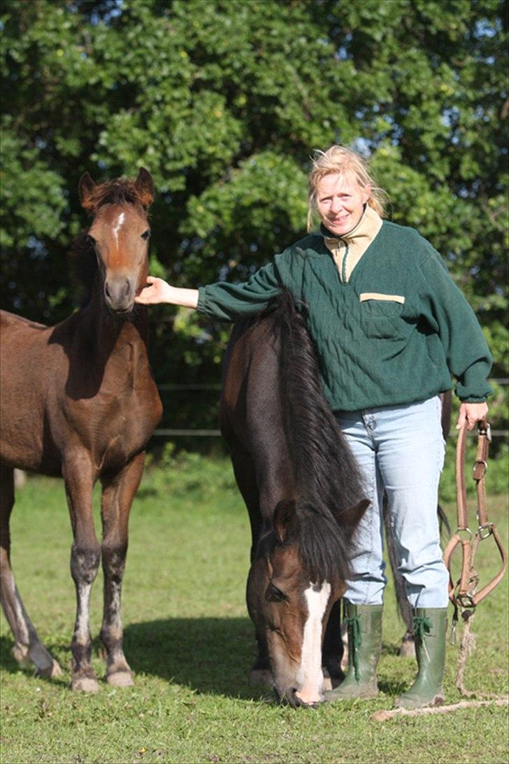 New Forest Birkilds Frederico billede 8