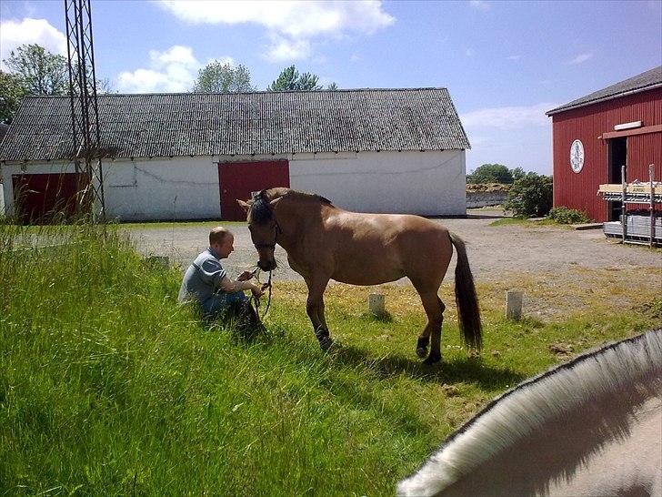 Anden særlig race My Darling billede 14