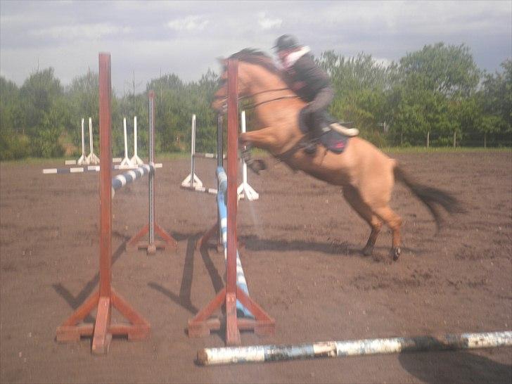 Anden særlig race Lucky Carisma - afstanden er lige meget xD    Fordi jeg kan alt med dig (: billede 7