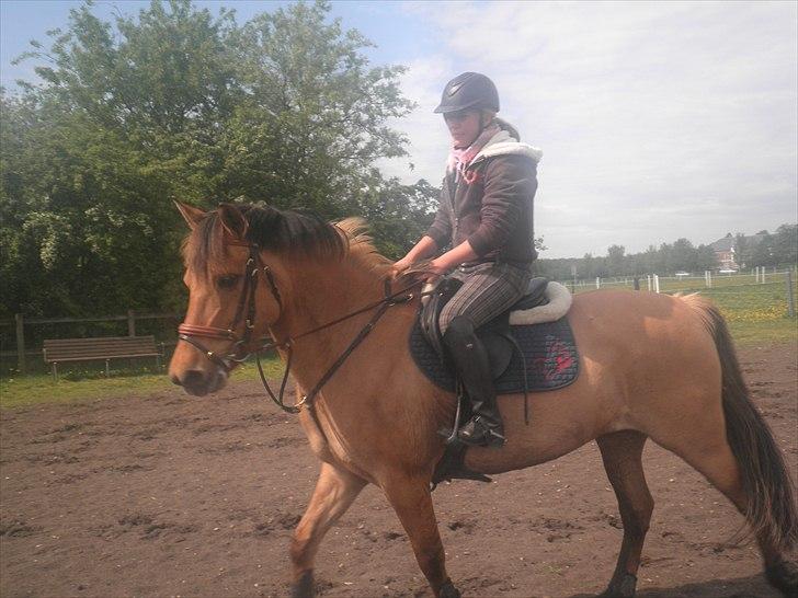 Anden særlig race Lucky Carisma billede 8