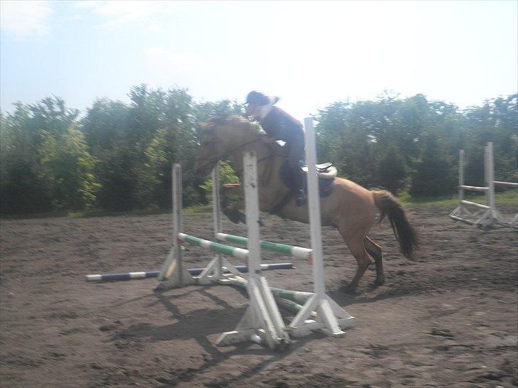 Anden særlig race Lucky Carisma billede 9