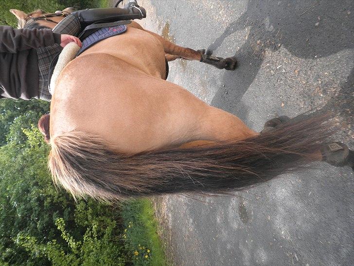 Anden særlig race Lucky Carisma - god røv alligevel :D billede 10