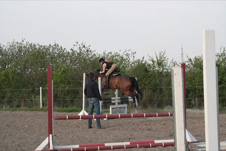 Anden særlig race Stensgaardens mistral - første dag udendørs!:* billede 13