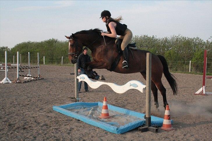 Anden særlig race Stensgaardens mistral - min stjerne, det går fremad!<3 billede 14
