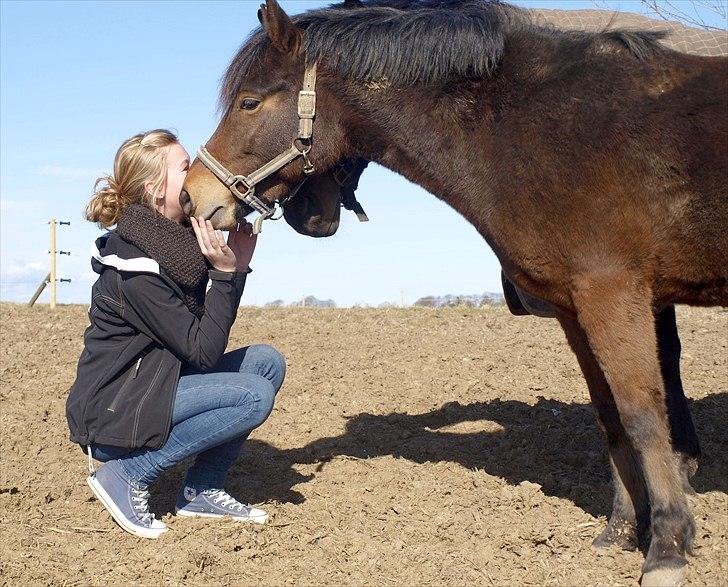 Anden særlig race Skovbys Chester Brown - Min søde Chester <3 billede 17