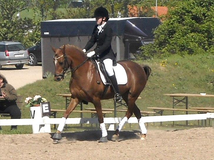 Hollandsk Sportspony Simone  - Simone og Julie til stævne :D billede 13