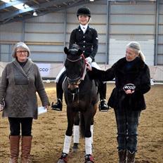 Tysk Oldenburger Simon