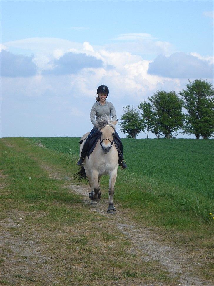 Fjordhest Line (-': - 8• Line og Mig<3   -Taget d. 12/5-2011   [Foto: Mor] billede 8