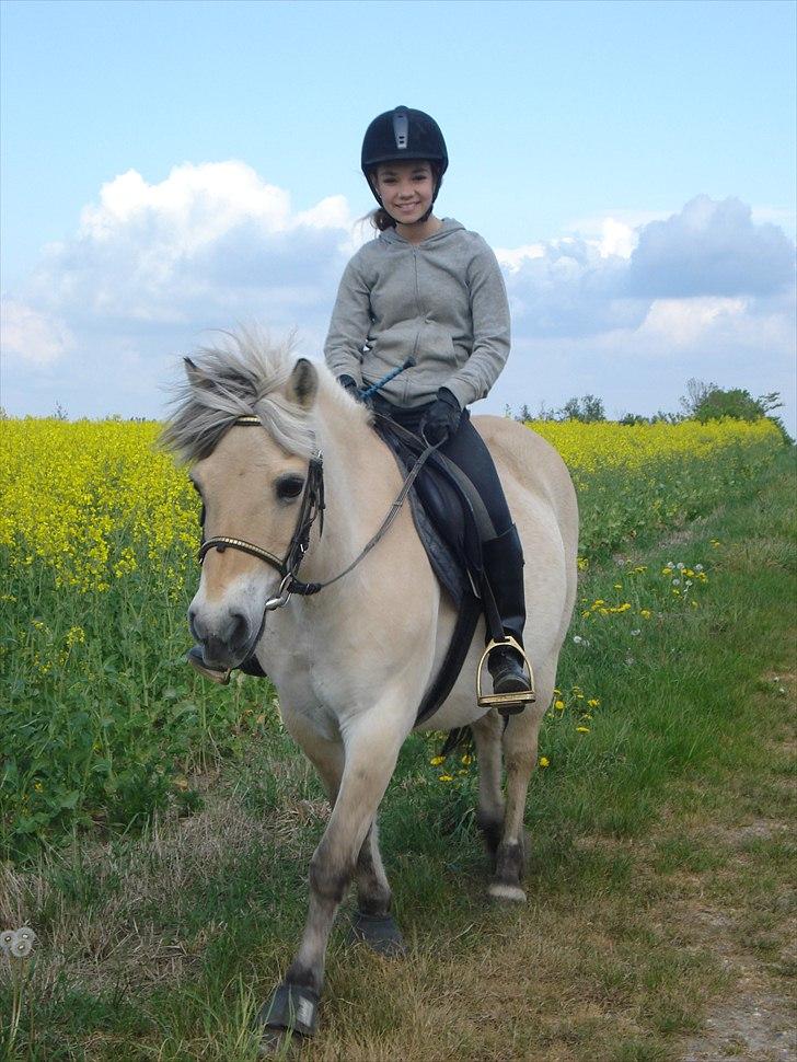 Fjordhest Line (-': - 11• Du for altid smilet frem! -Taget d. 12/5-2011   [Foto: Mor] billede 11