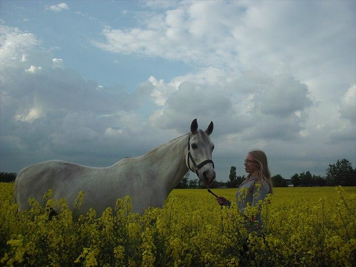 Anden særlig race Bolero (opsagt) - Bolero og Sisse i rapsmarken..  billede 15