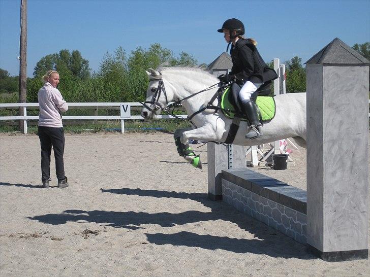 Welsh Mountain (sec A) Nelly - Mit andet stævne på nelly.
Hun springer højt over. billede 8